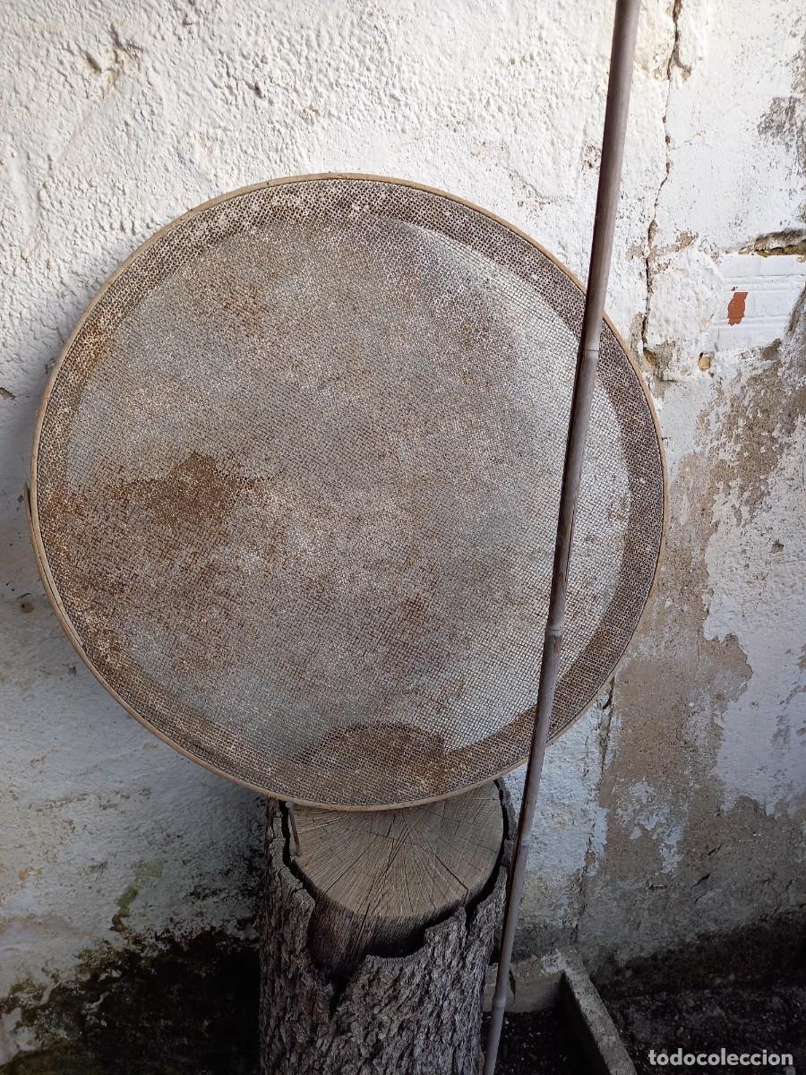Antig&uuml;edades: Aperos antiguos de labranza - Foto 5