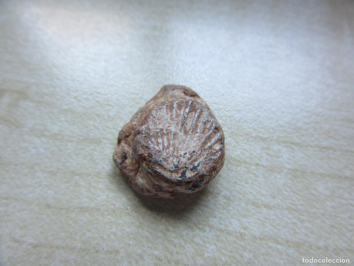 Antig&uuml;edades: Sello o precinto de plomo Posible Medieval con concha Di&aacute;metro 1,5 cm