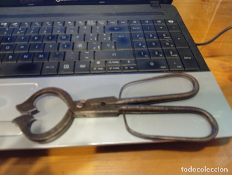 Antig&uuml;edades: ANTIGUAS PINZAS DE FORJA PARA CORTAR TROZOS AZUCAR, TIPO CASCAPI&Ntilde;ONES, PARTIDERA, SIGLO XVIII
