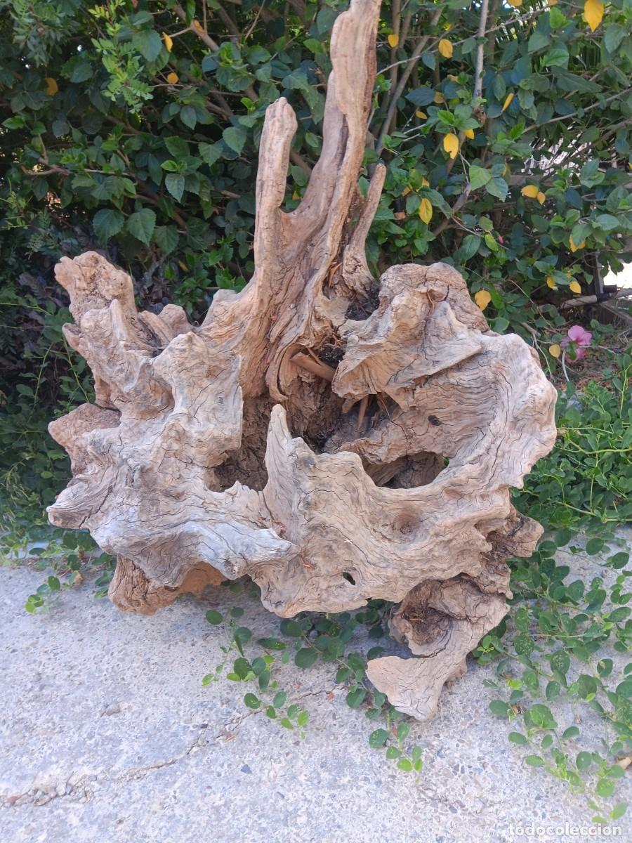 Antig&uuml;edades: Tronco madera ideal decoraci&oacute;n rustica