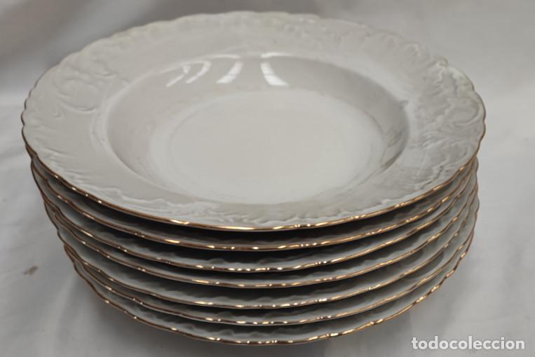 Antig&uuml;edades: JUEGO DE 7 PLATOS SOPEROS ANTIGUOS DE PORCELANA DE BAVIERA, ERIKA BAVARIAN PORZELLAN