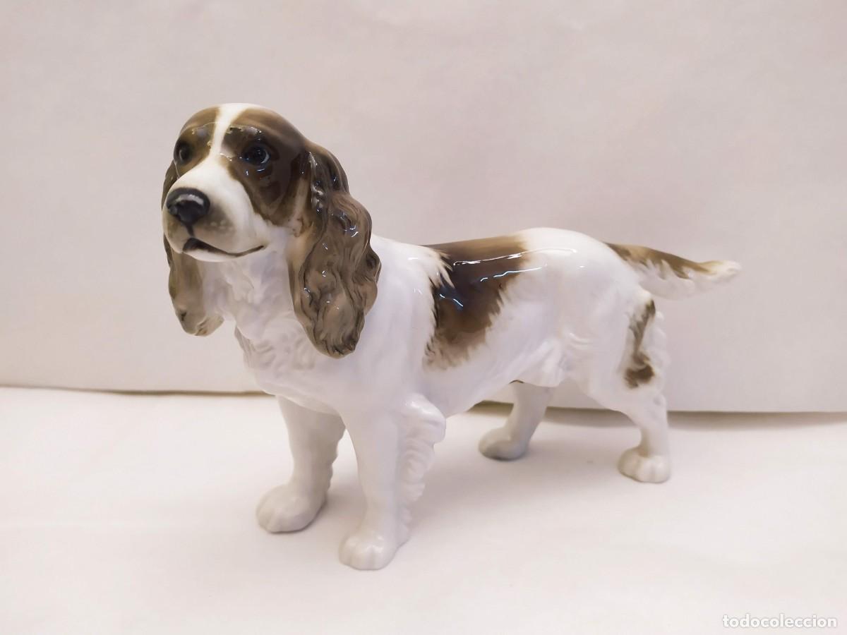 Antig&uuml;edades: Figura de porcelana alemana. Perro. Hutschenreuther germany kunstabteilung. LHS.