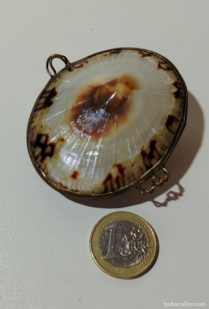 Antig&uuml;edades: Antiguo monedero / pastillero de concha marina y lat&oacute;n , sXX