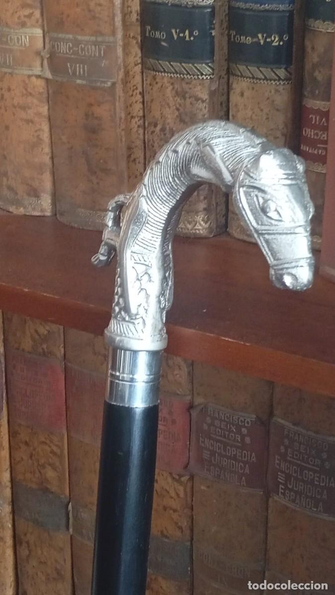 Antiguidades: Elegante bast&oacute;n con un distintivo mango en forma de cabeza de caballo.