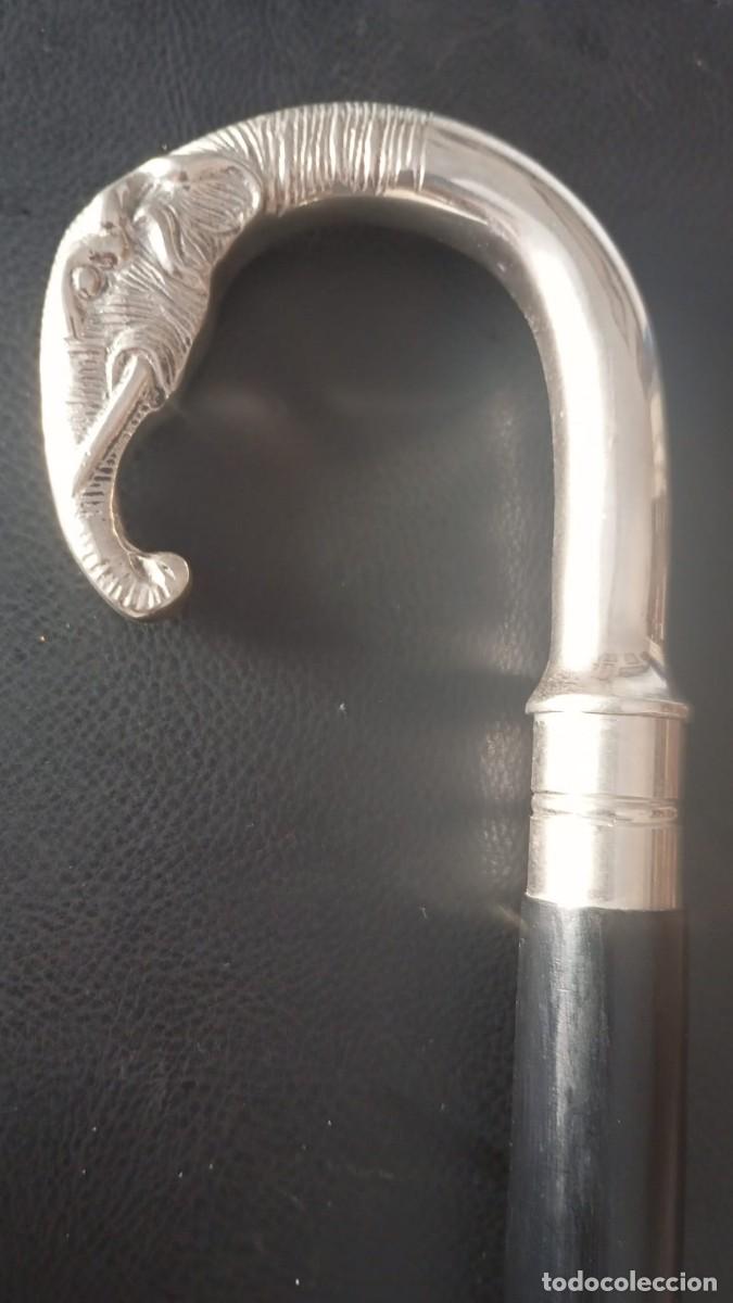 Antiques: Elegante bast&oacute;n con un distintivo mango en forma de cabeza de elefante.