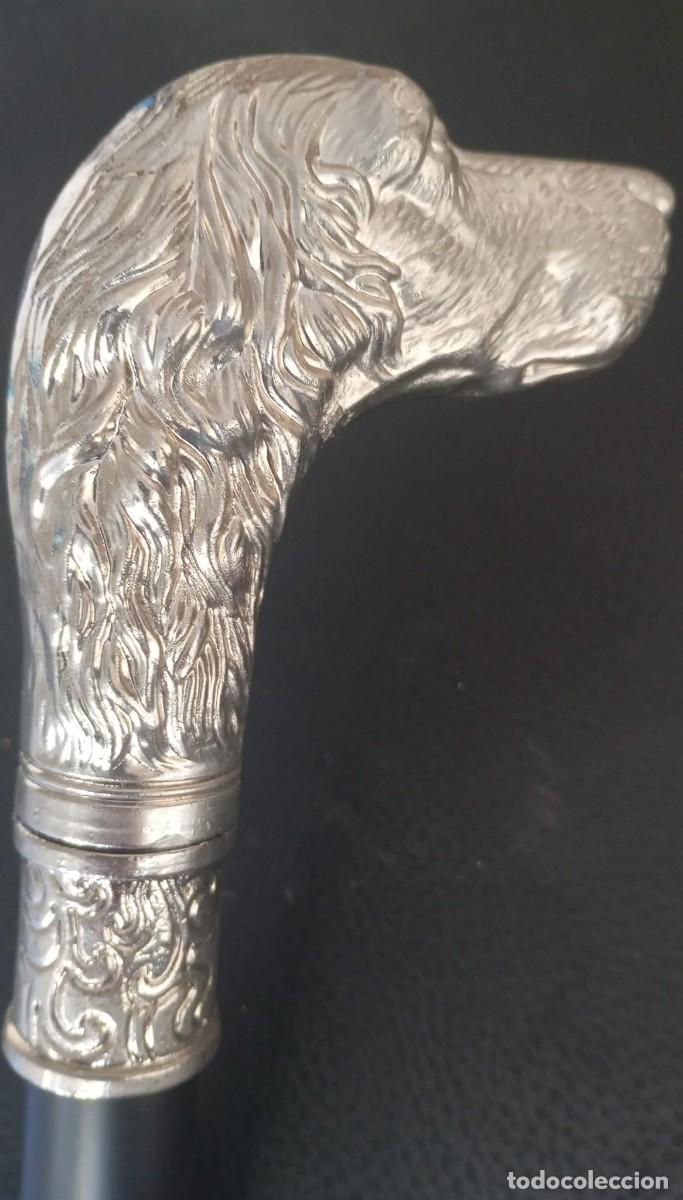 Antiques: Elegante bast&oacute;n con mango con figura de cabeza de Setter. Metal plateado repujado.