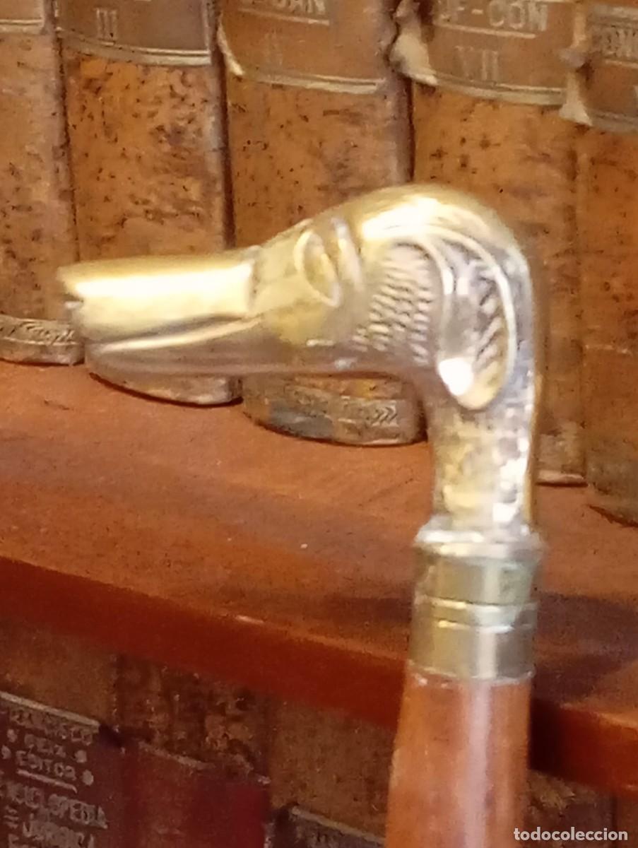 Antig&uuml;edades: Elegante bast&oacute;n cl&aacute;sico con empu&ntilde;adura de galgo en bronce.