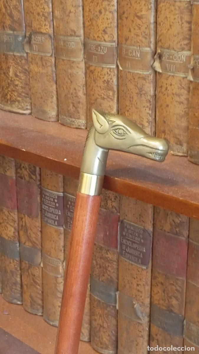 Antig&uuml;edades: Bast&oacute;n desmontable de madera con mango de bronce con forma de cabeza de caballo. - Foto 3