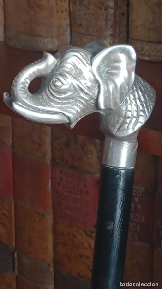 Antig&uuml;edades: Elegante bast&oacute;n con preciosa empu&ntilde;adura de elefante laminada en plata.