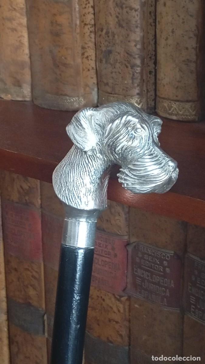 Antig&uuml;edades: Precioso bast&oacute;n con empu&ntilde;adura de Schnauzer laminada en plata.