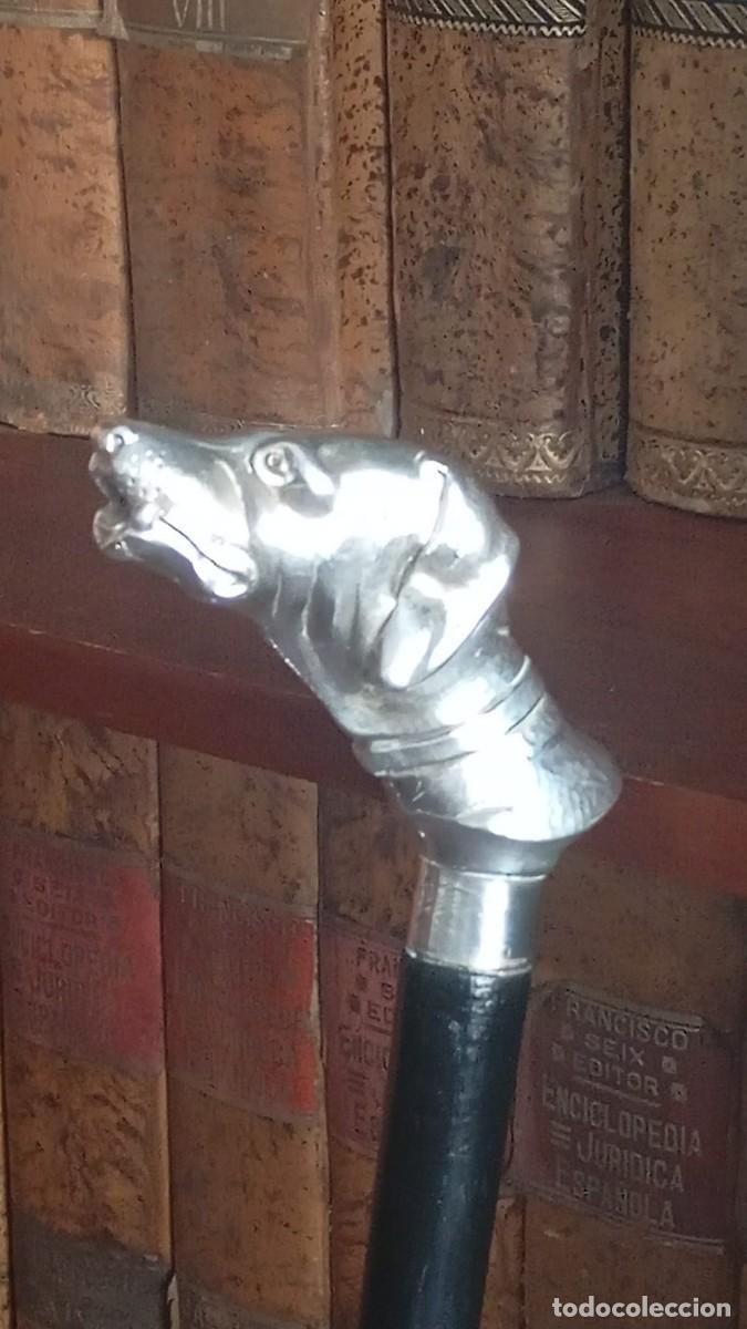 Antig&uuml;edades: Bast&oacute;n con empu&ntilde;adura de Cocker laminada en plata.