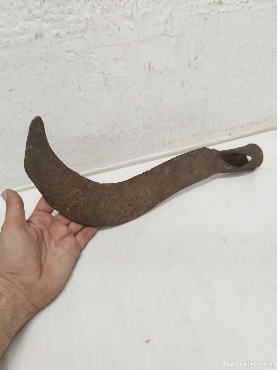 Antig&uuml;edades: Antiguo pod&oacute;n, hoz herramienta. Siglo XVIII - XIX.