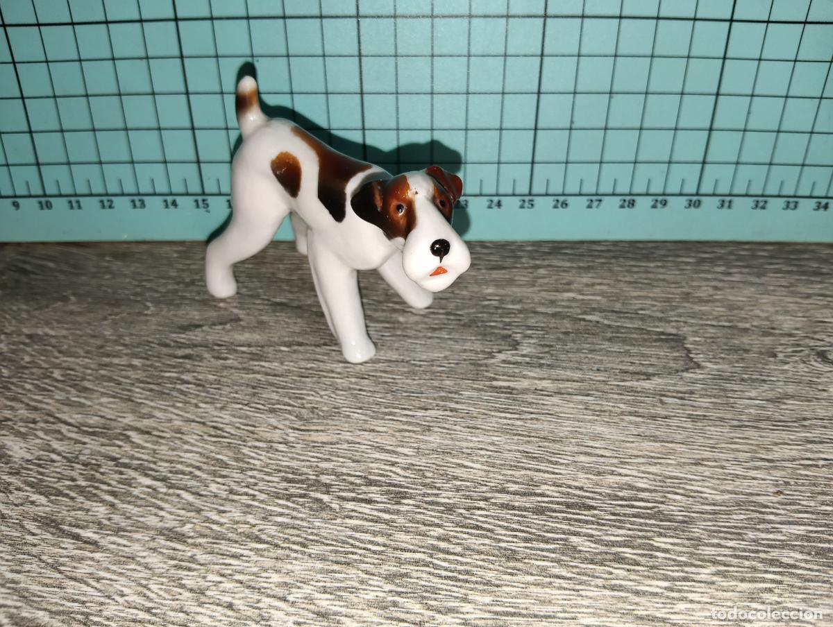 Antig&uuml;edades: Figura de Porcelana Alemana Limbach Perro Fox Terrier a&ntilde;os 50/60.