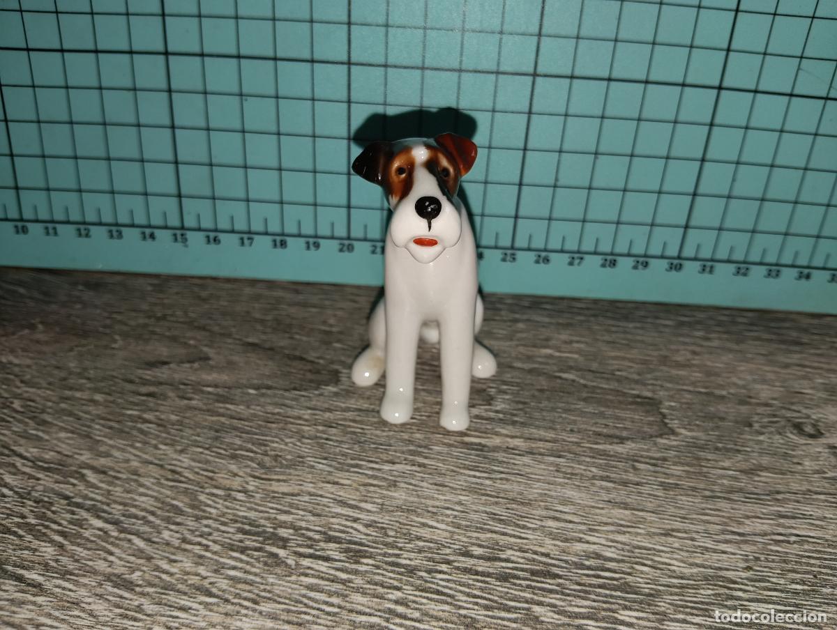 Antig&uuml;edades: Figura de Porcelana Alemana Limbach Perro Fox Terrier a&ntilde;os 50/60.