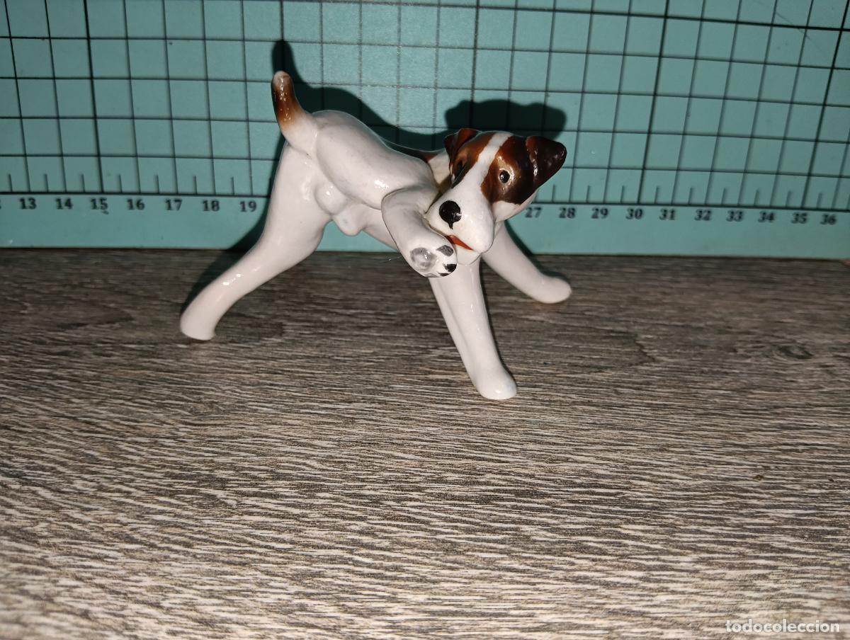 Antig&uuml;edades: Figura de Porcelana Alemana Limbach Perro Fox Terrier a&ntilde;os 50/60.