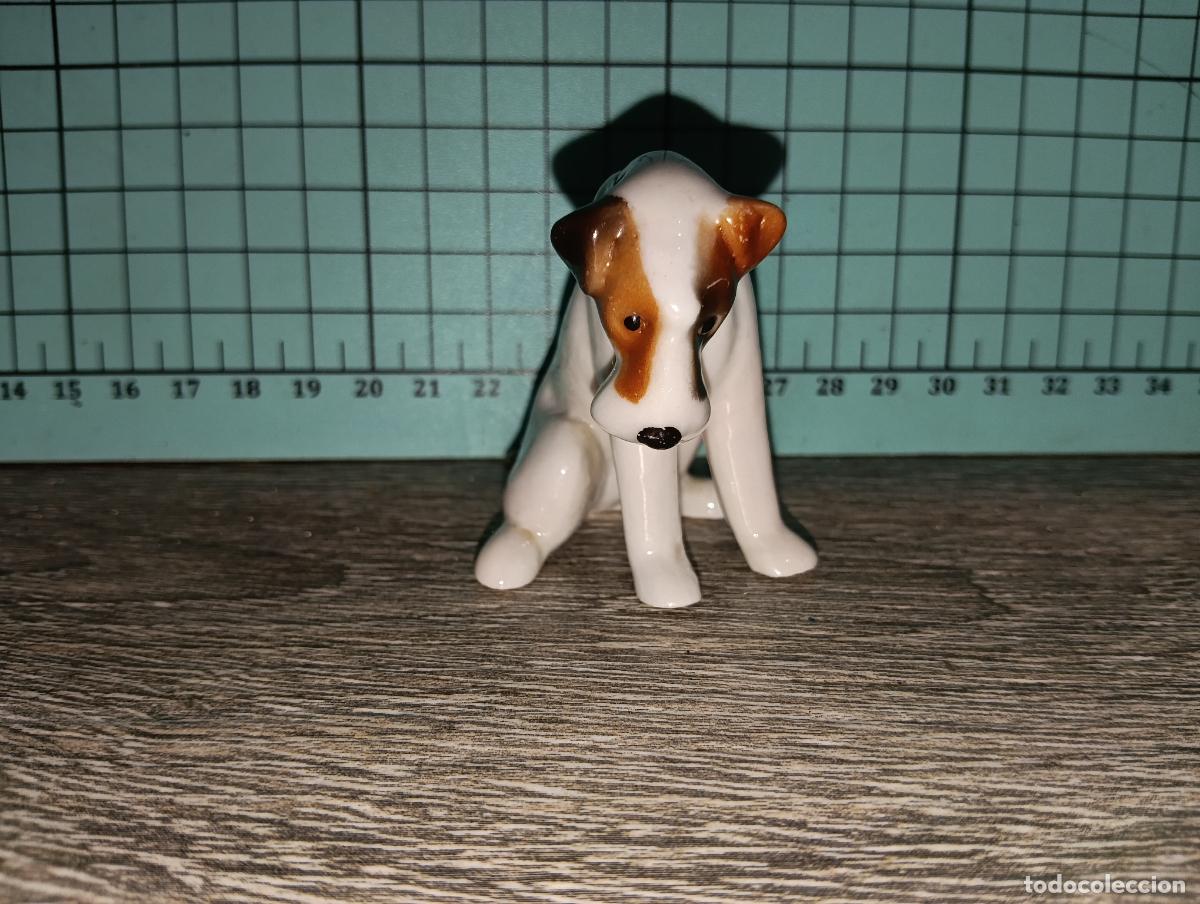 Antig&uuml;edades: Figura de Porcelana Alemana Limbach Perro Fox Terrier a&ntilde;os 50/60.