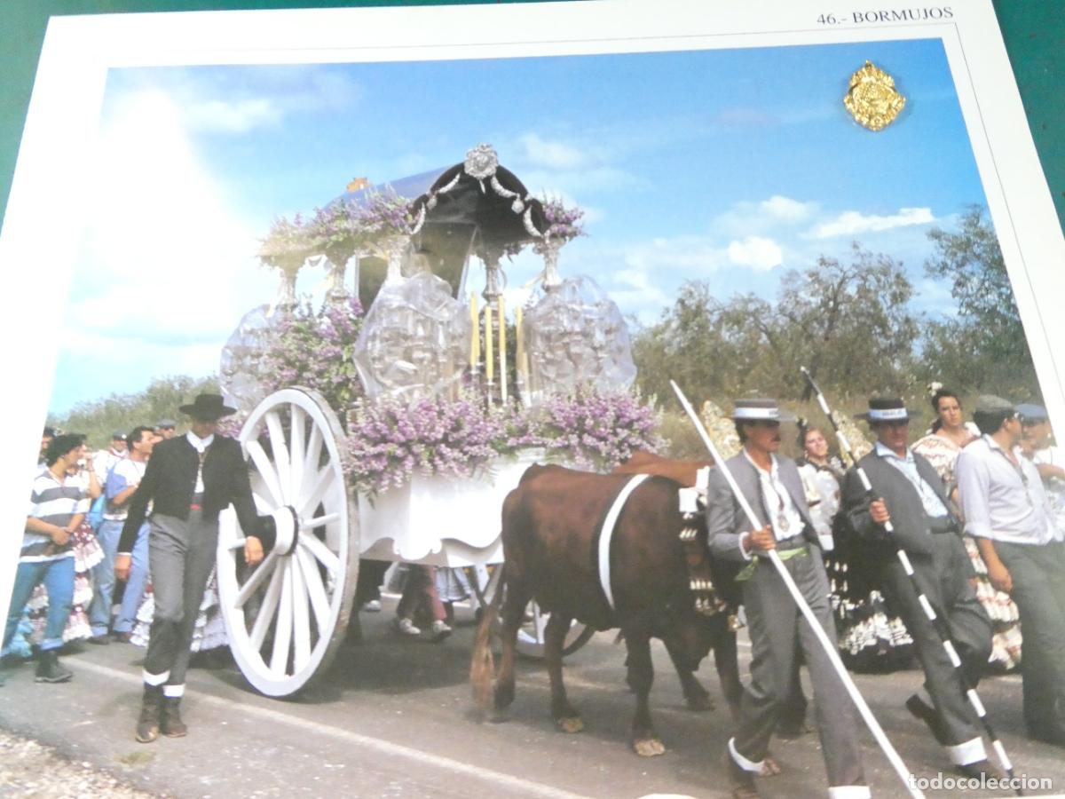 Antig&uuml;edades: INSIGNIA MEDALLITA ROCIERA + L&Aacute;MINA HERMANDAD VIRGEN ROC&Iacute;O 46 BORMUJOS SEVILLA