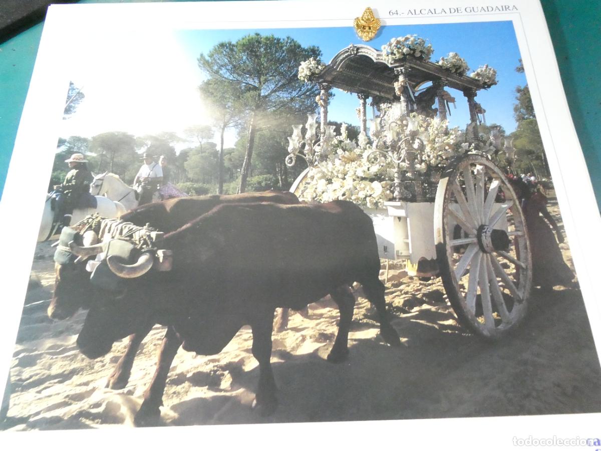 Antig&uuml;edades: INSIGNIA MEDALLITA ROCIERA + L&Aacute;MINA HERMANDAD VIRGEN ROC&Iacute;O 64 ALCAL&Aacute; DE GUADAIRA SEVILLA