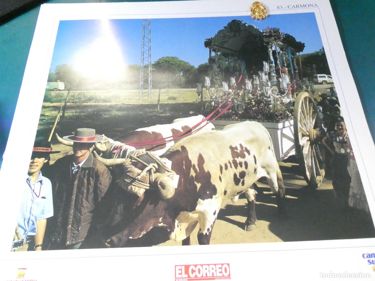Antig&uuml;edades: INSIGNIA MEDALLITA ROCIERA + L&Aacute;MINA HERMANDAD VIRGEN ROC&Iacute;O 83 CARMONA SEVILLA