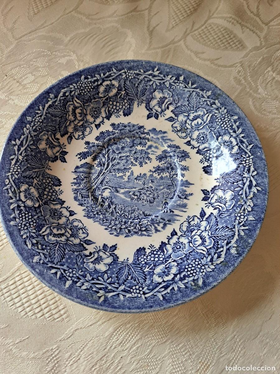 Antig&uuml;edades: Bonito platillo de taza de t&eacute; de porcelana inglesa Ironstone