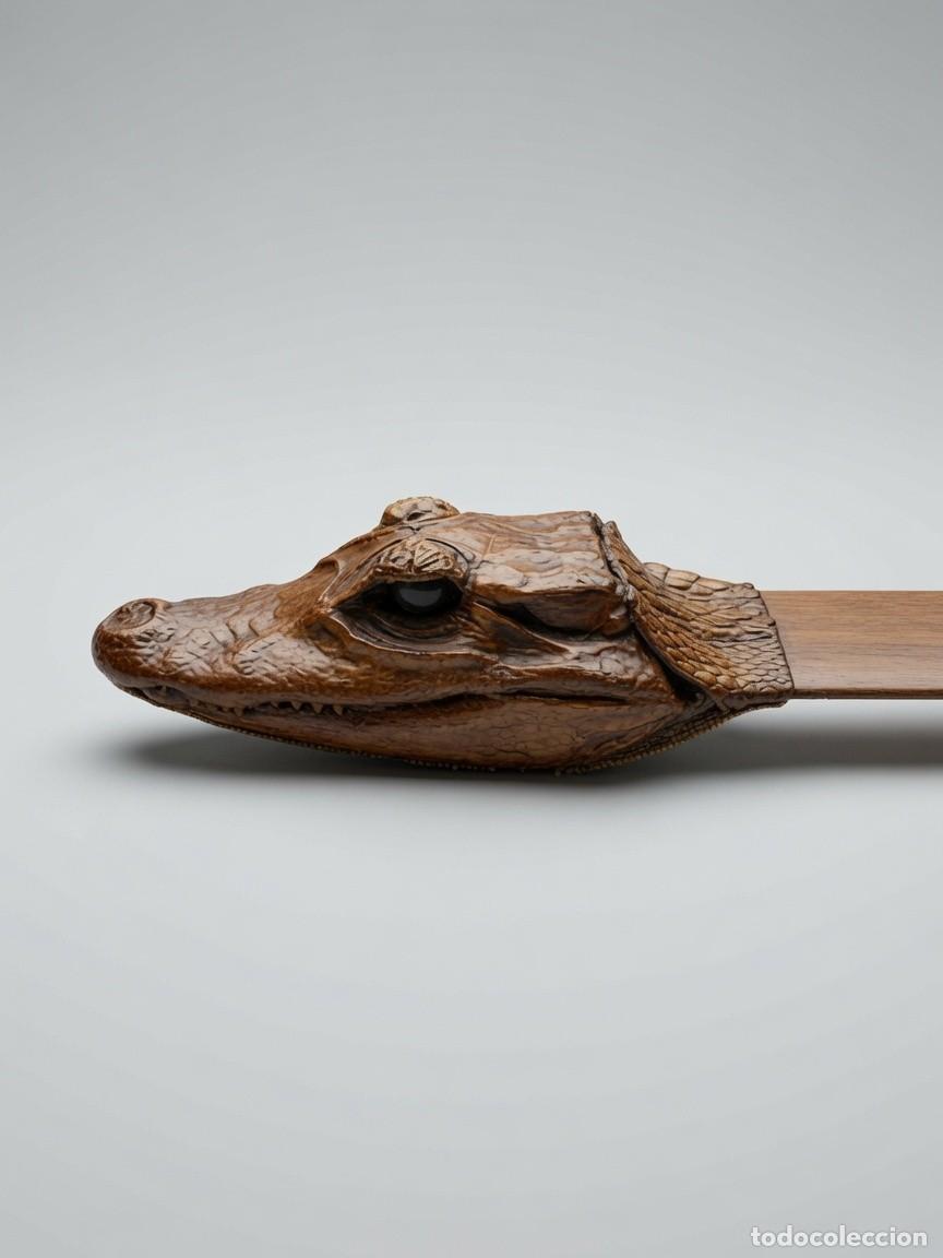 Antig&uuml;edades: Abrecartas Cabeza de Cr&iacute;a de Caim&aacute;n - Foto 2