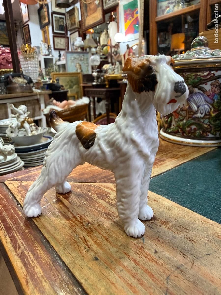 Antig&uuml;edades: ESCULTURA PERRO EN PORCELANA DE TREBOL - MEDIDA 10 CM