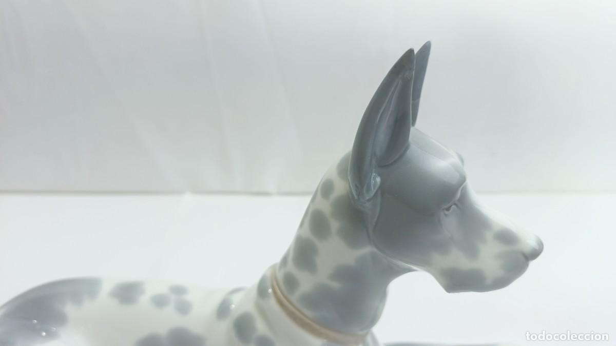 Antig&uuml;edades: Figura Perro Doberman Lladro - Foto 3