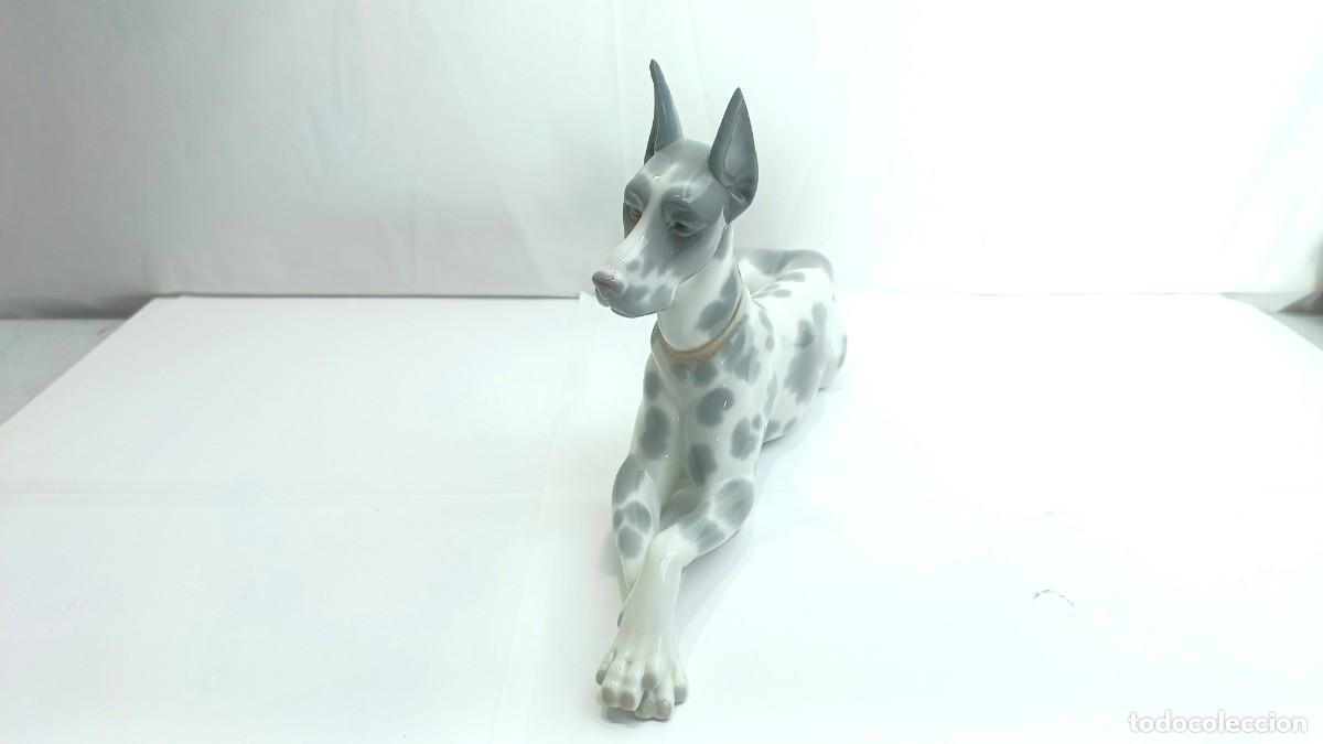 Antig&uuml;edades: Figura Perro Doberman Lladro - Foto 5