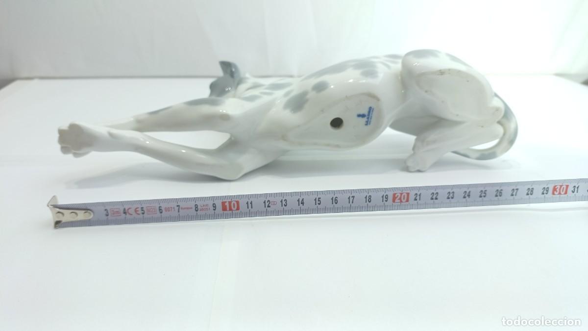 Antig&uuml;edades: Figura Perro Doberman Lladro - Foto 6