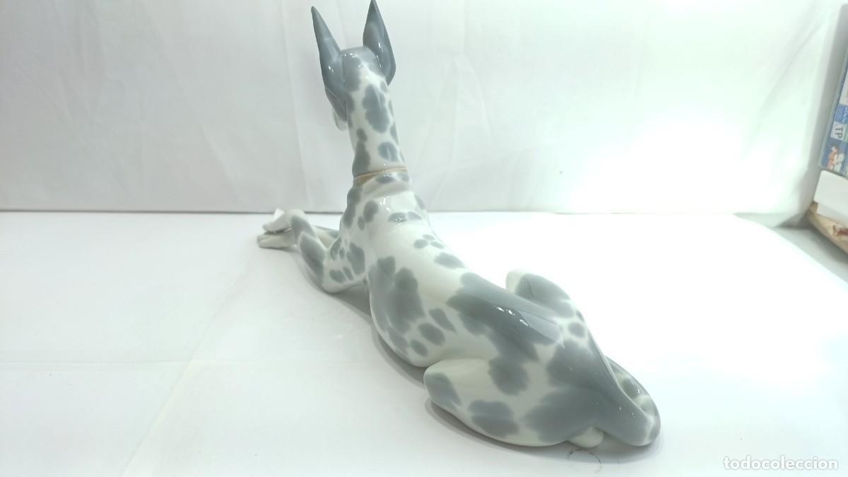 Antig&uuml;edades: Figura Perro Doberman Lladro - Foto 7