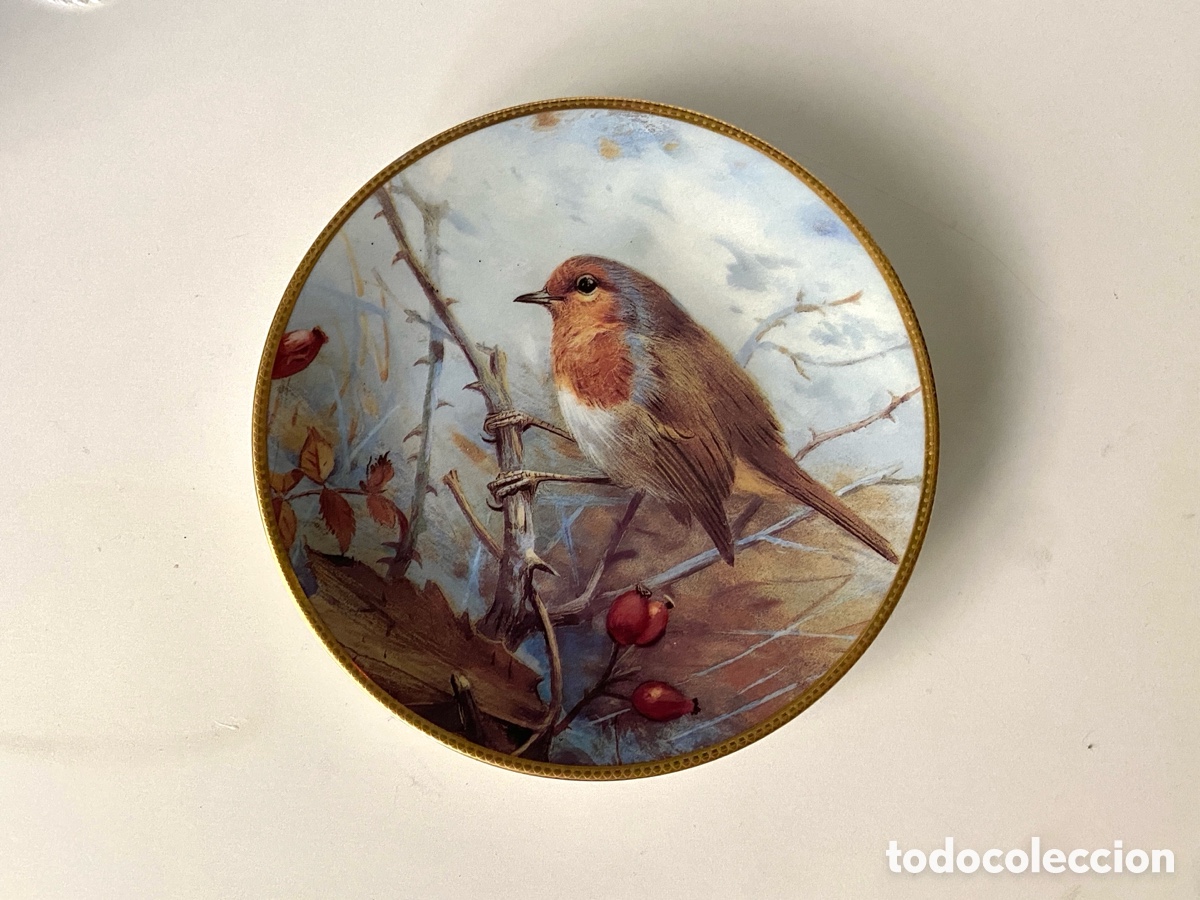 Antig&uuml;edades: Plato ingl&eacute;s de porcelana de colecci&oacute;n. The Robin