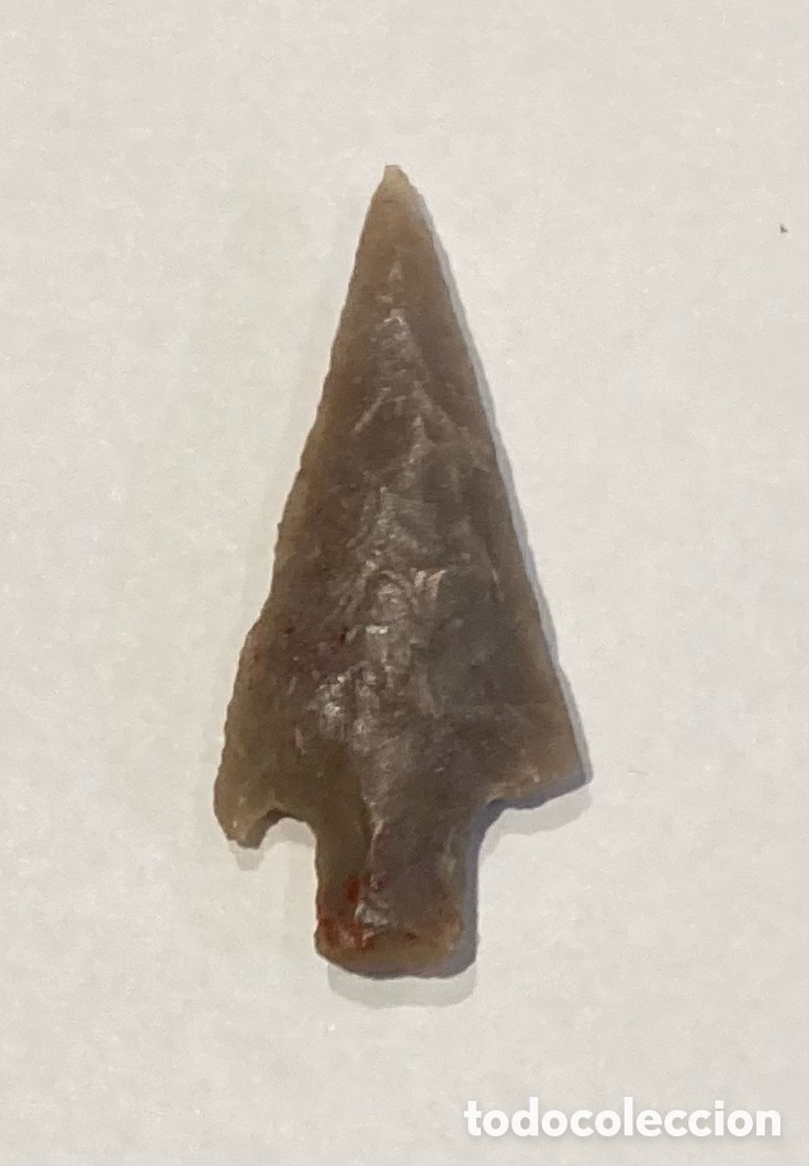 Antig&uuml;edades: Punta de flecha original neolitico - calcolitico. Sahara 8000-2700 a.C.