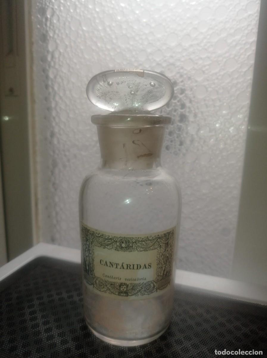 Antig&uuml;edades: Frasco de farmacia antiguo,Cant&aacute;ridas, (Cantharis vesicatoria)