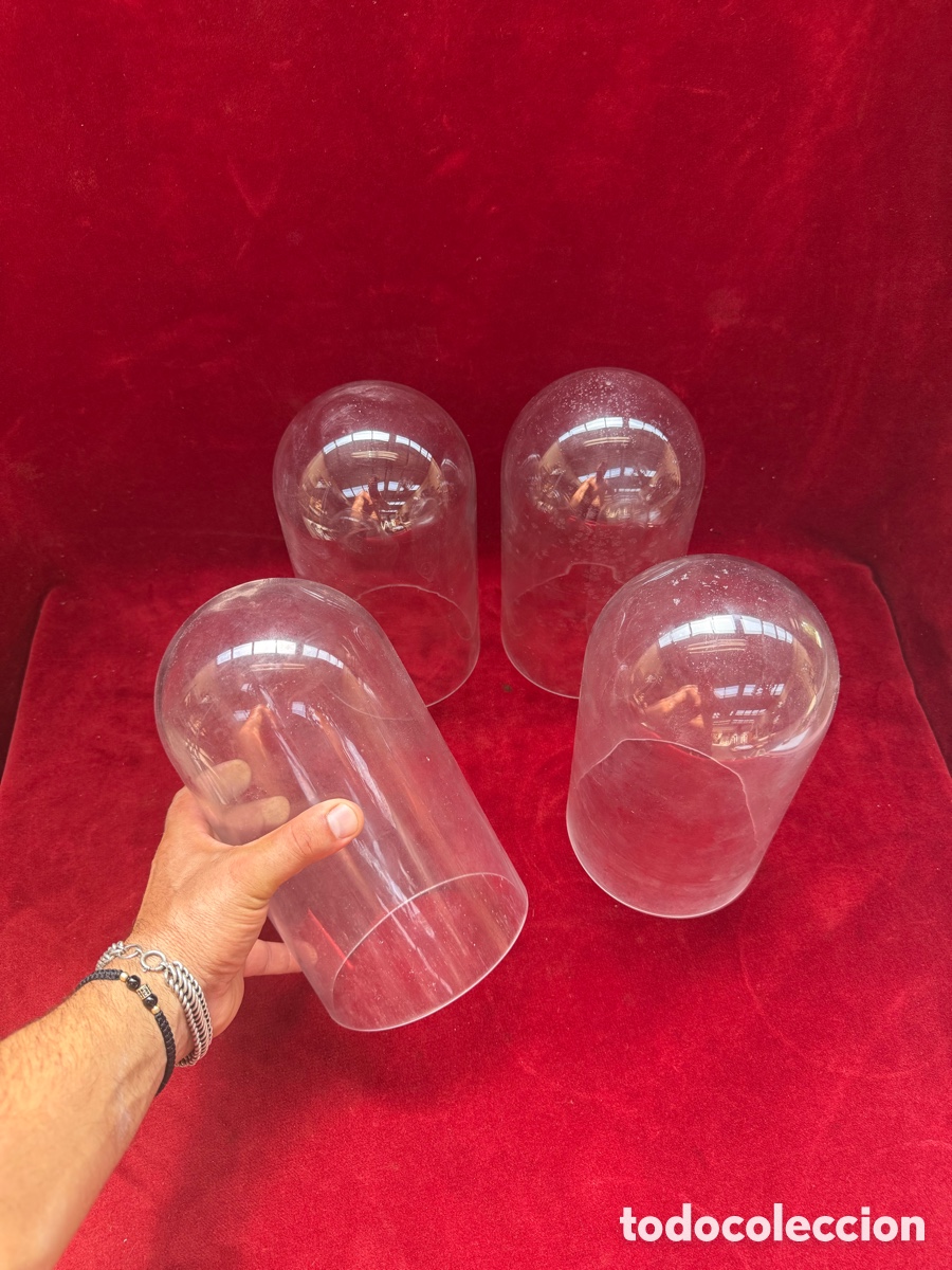 Antig&uuml;edades: Lote de 4 cupulas-campanas de cristal!Fanales!