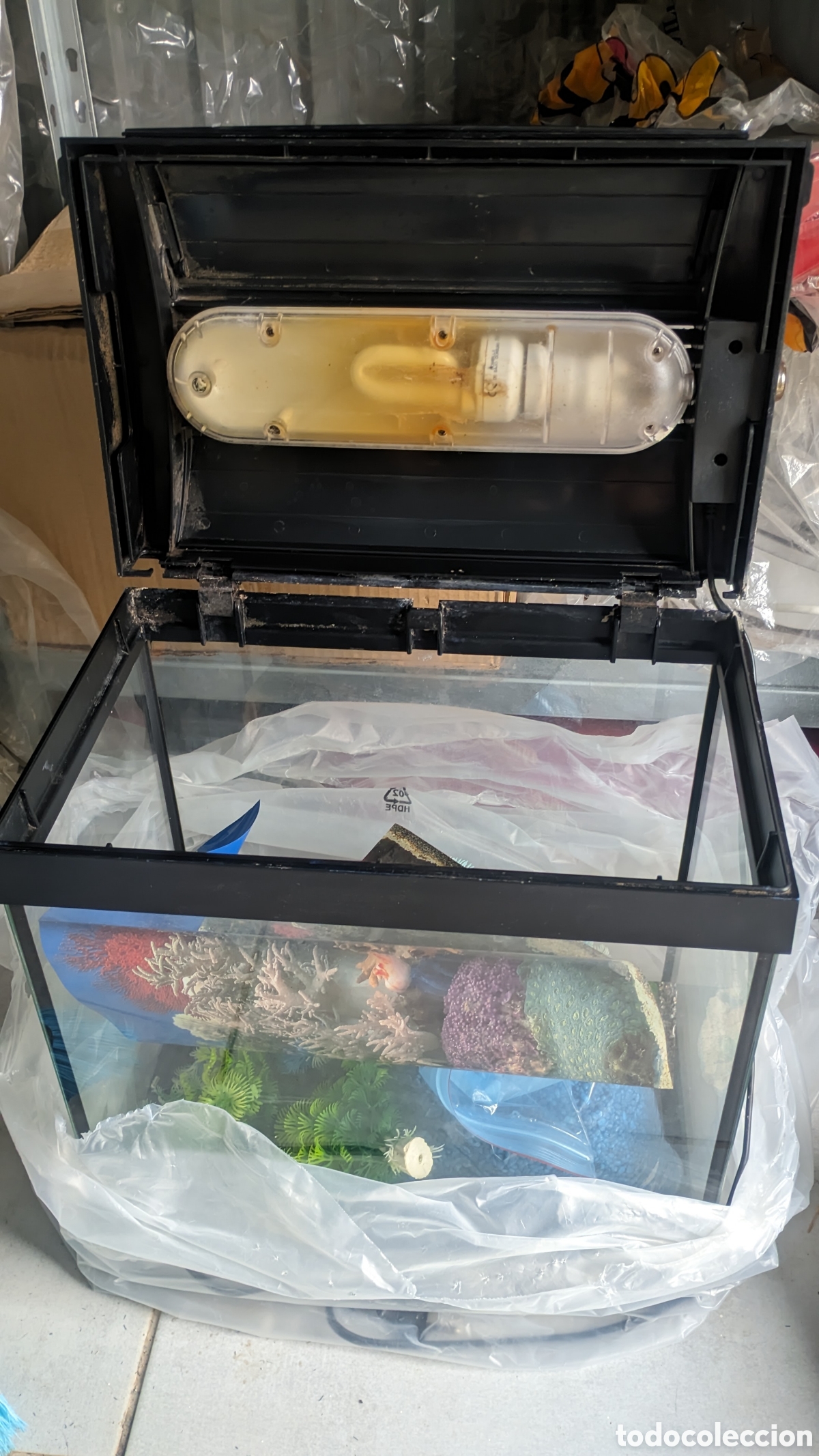 Antig&uuml;edades: Acuario para principiantes