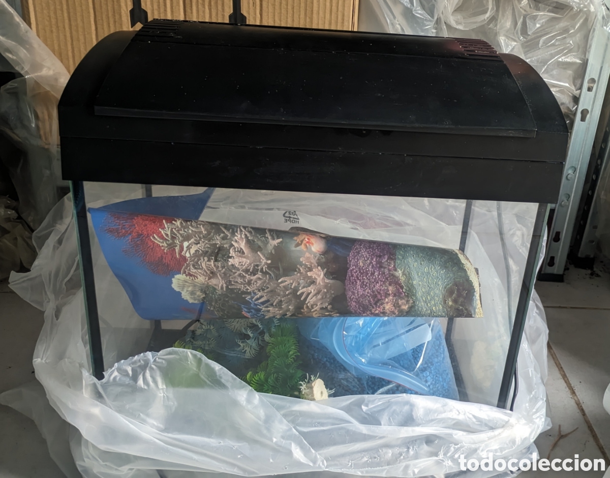 Antig&uuml;edades: Acuario para principiantes - Foto 2