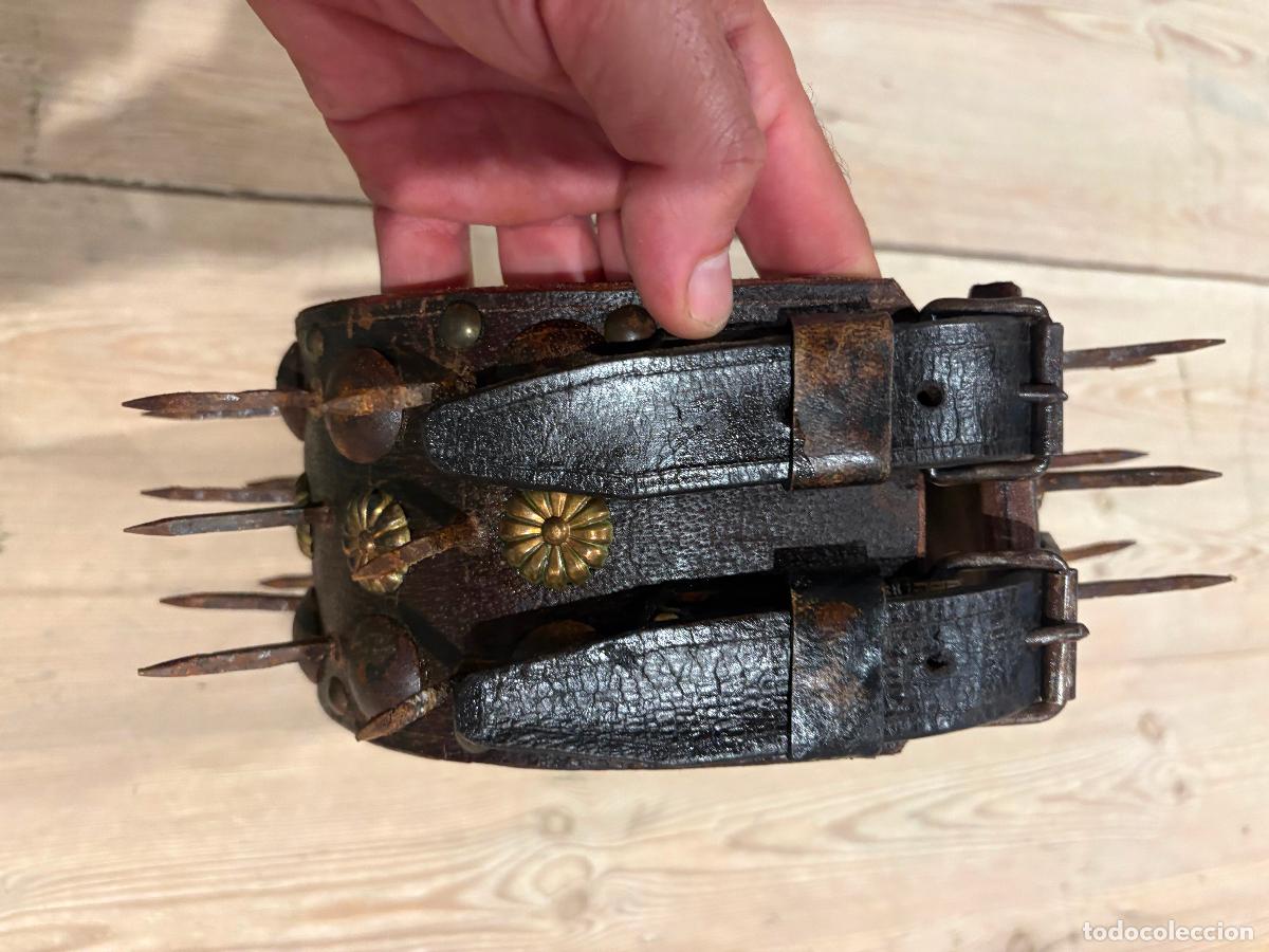 Oggetti Antichi: Carlanca procedente Ribes de Freser pirineo para Mastin collar perro pastor para lobo