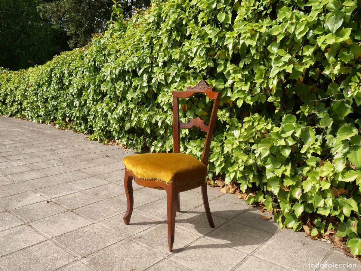 Antig&uuml;edades: Juego de 6 Sillas de Madera Maciza Cl&aacute;sicas