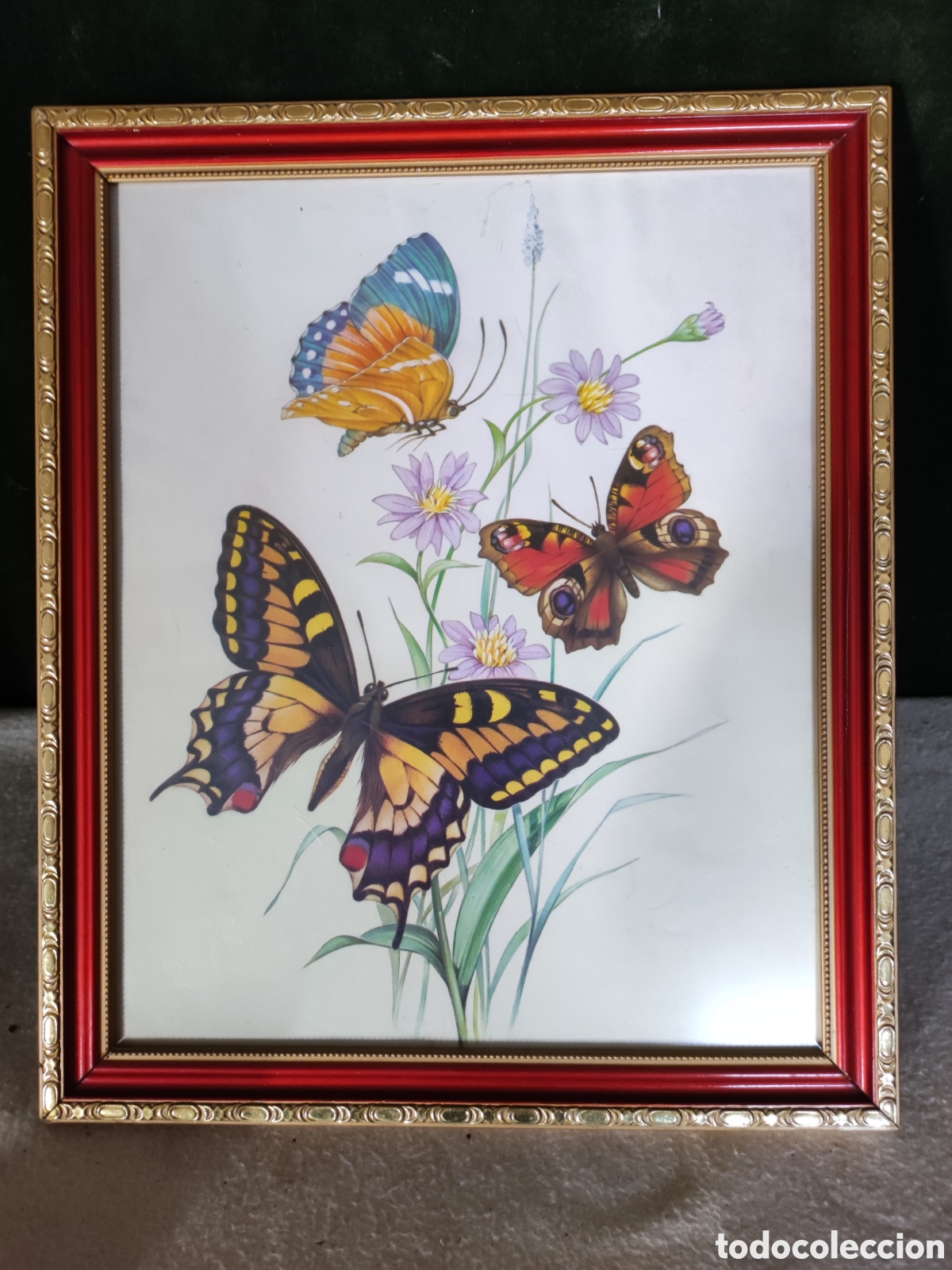 Antig&uuml;edades: Cuadro lamina mariposas - Foto 2