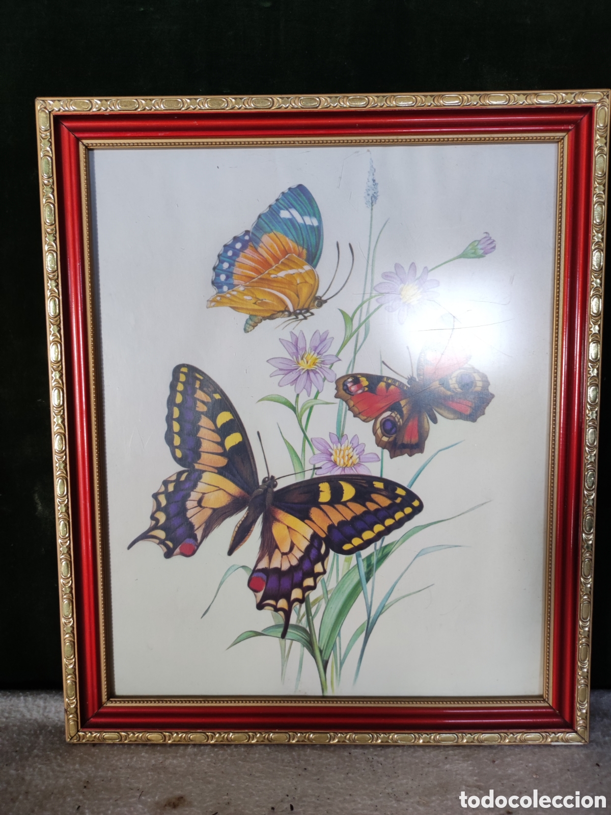 Antig&uuml;edades: Cuadro lamina mariposas