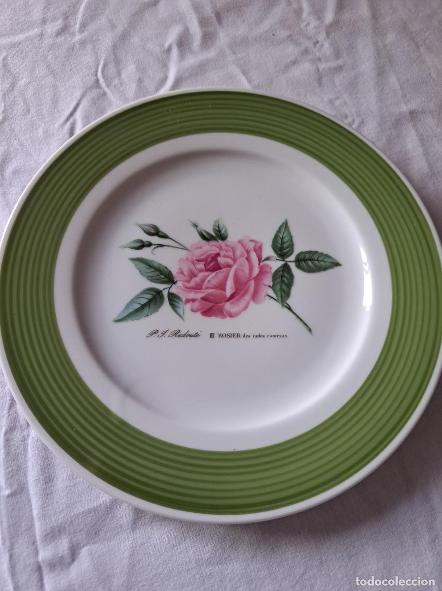 Antig&uuml;edades: Plato de postre de porcelana HUTSCHENREUTHER Germany, Rosier des Indes commun
