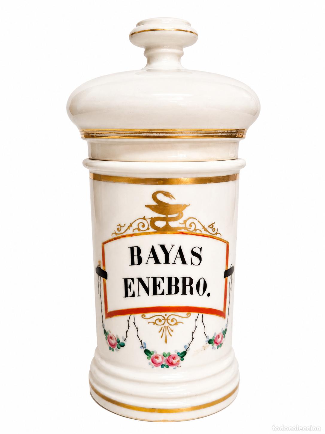 Antig&uuml;edades: Albarelo, Tarro de Farmacia Antiguo - Bayas Enebro - Porcelana Blanca