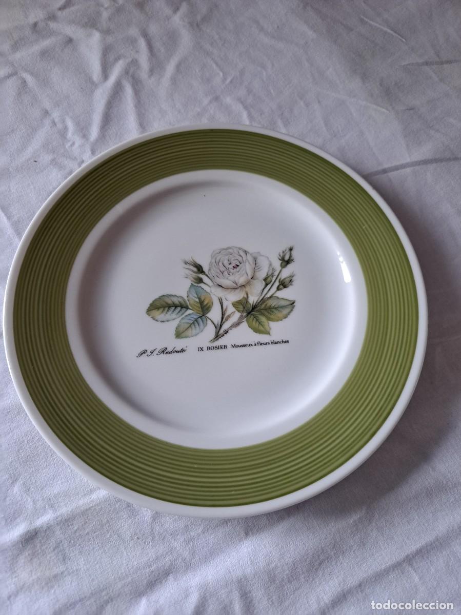 Antig&uuml;edades: Plato de postre de porcelana HUTSCHENREUTHER Germany, Rosier Mousseux a fleurs blanches