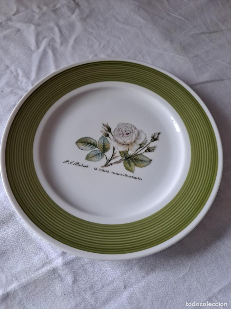 Antig&uuml;edades: Plato de postre de porcelana HUTSCHENREUTHER Germany, Rosier Mousseux a fleurs blanches