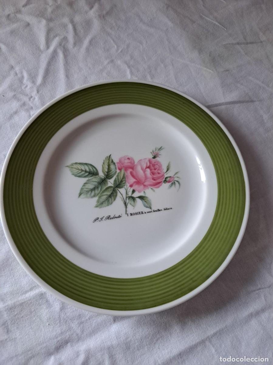 Antig&uuml;edades: Plato de postre de porcelana HUTSCHENREUTHER Germany, Rosier a cen feuilles