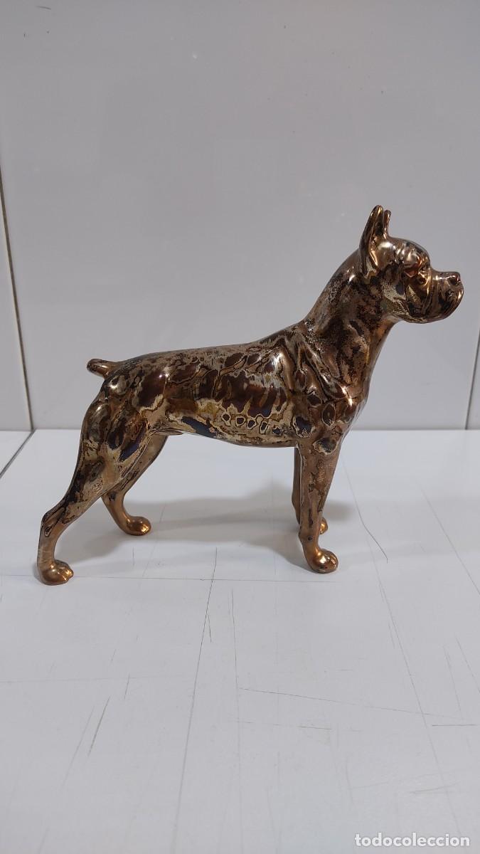 Antig&uuml;edades: 1215 ESCULTURA DE PERRO BOXER, REALIZADO EN COBRE, GRAN DETALLE, PERDIDAS PLATEADO, A&Ntilde;OS 50/60