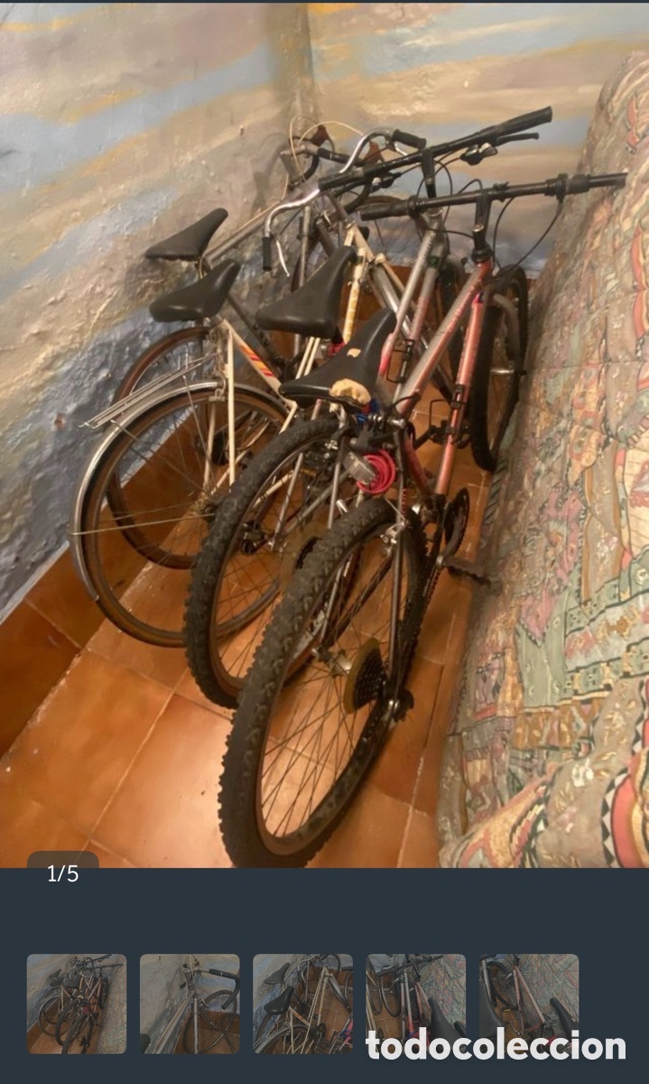 Antig&uuml;edades: Bicicletas vintage GAC, TORROC, BUGNO y ORBEA