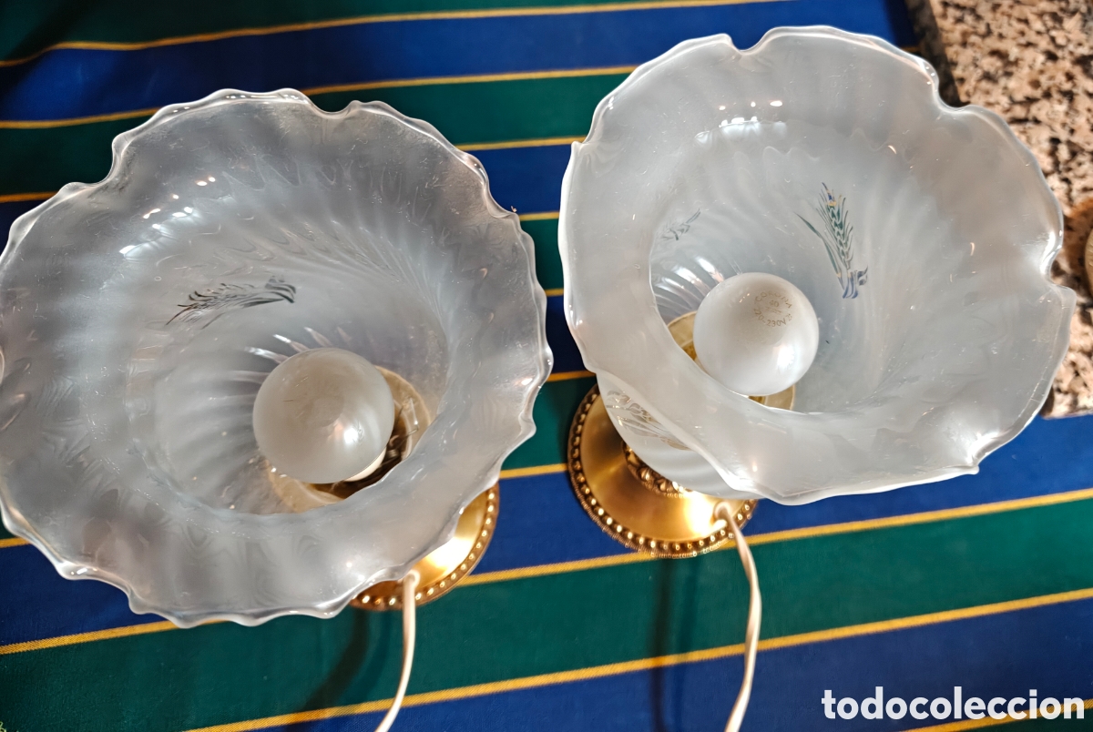 Antig&uuml;edades: Duo Lamparas Bejorama - Foto 8