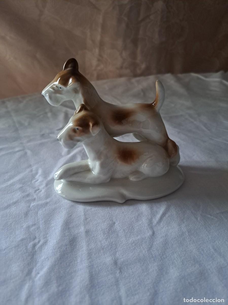 Antig&uuml;edades: Figura de pareja de perros Fox Terrier n.&ordm; 10197, Carl Scheidig Gr&auml;fenthal