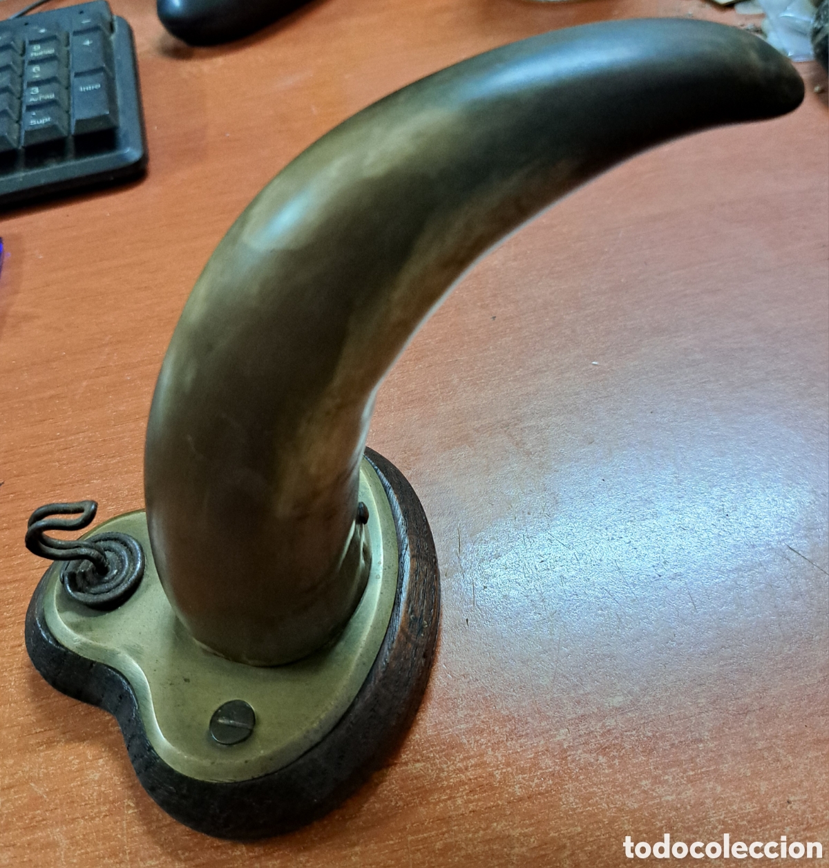 Antig&uuml;edades: Cuerno de toro con base para colgar llaves - Foto 1